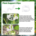 Greenhouse Trellising Kit, 10 PCS Tomato Hooks with String & 100 PCS Support Clips, Metal & Nylon, White, Linear Plant Support, Tomato Trellis