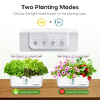 Ahopegarden Indoor Garden Hydroponics Growing System: 10 Pods Kit with LED