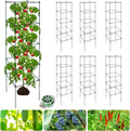 6 Packs Tomato Cages for Garden, 12"×12"×48" Plant Support Cage with Different Spacing, Green Metal Trellis for Climbing Plants Like Cucumber, Flowers
