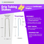 Sandbaggy 1000-Pack DRIP TUBING Stakes Landscape Staples | 5 inch Length - 11 Gauge Heavy Duty | Drip Anchors | Landscape Pins | Garden Lawn Nails | Designed to Hold Drip Tubing Up to 1/2" Diameter