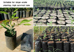 100 PCS Thicken Plastic Nursery Bags for Plants Fruit Flower Grow Bags Seedling Pots (7.87x15.75 in)