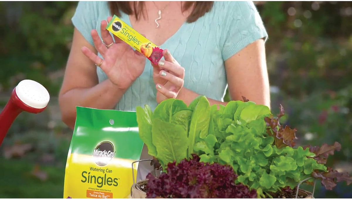 Miracle-Gro Watering Can Singles All Purpose Water Soluble Plant Food, For Flowers, Vegetables, Houseplants, Trees, Indoor and Outdoor Plants, 24 Packets