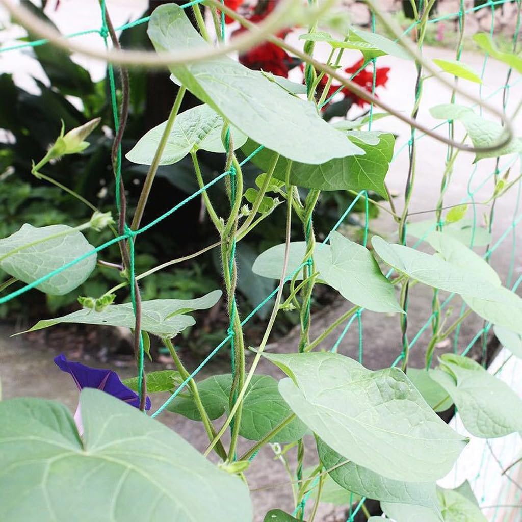Garden Netting & Trellis Netting Garden Net for Climbing Plants Grape Tomato Green Bean Cucumber Trellis Outdoor Garden Trellis (6.6 ft x 16.4 ft)