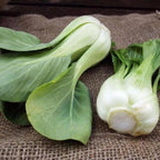 All Year Round Organic Chinese Cabbage Seeds, 1000pcs, Non-GMO, High 95% Germination, Perfect for Every Season
