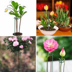 4.5mm Adjustable Length Plant Stake, Assembled (12 or 24 or 36 inch) Outdoor and Indoor Plant Support Poles for Flowers Marigolds Tomatoes Lilies Peonies Roses Daffodils Flower Clips (8 Sets, 32 Pcs)
