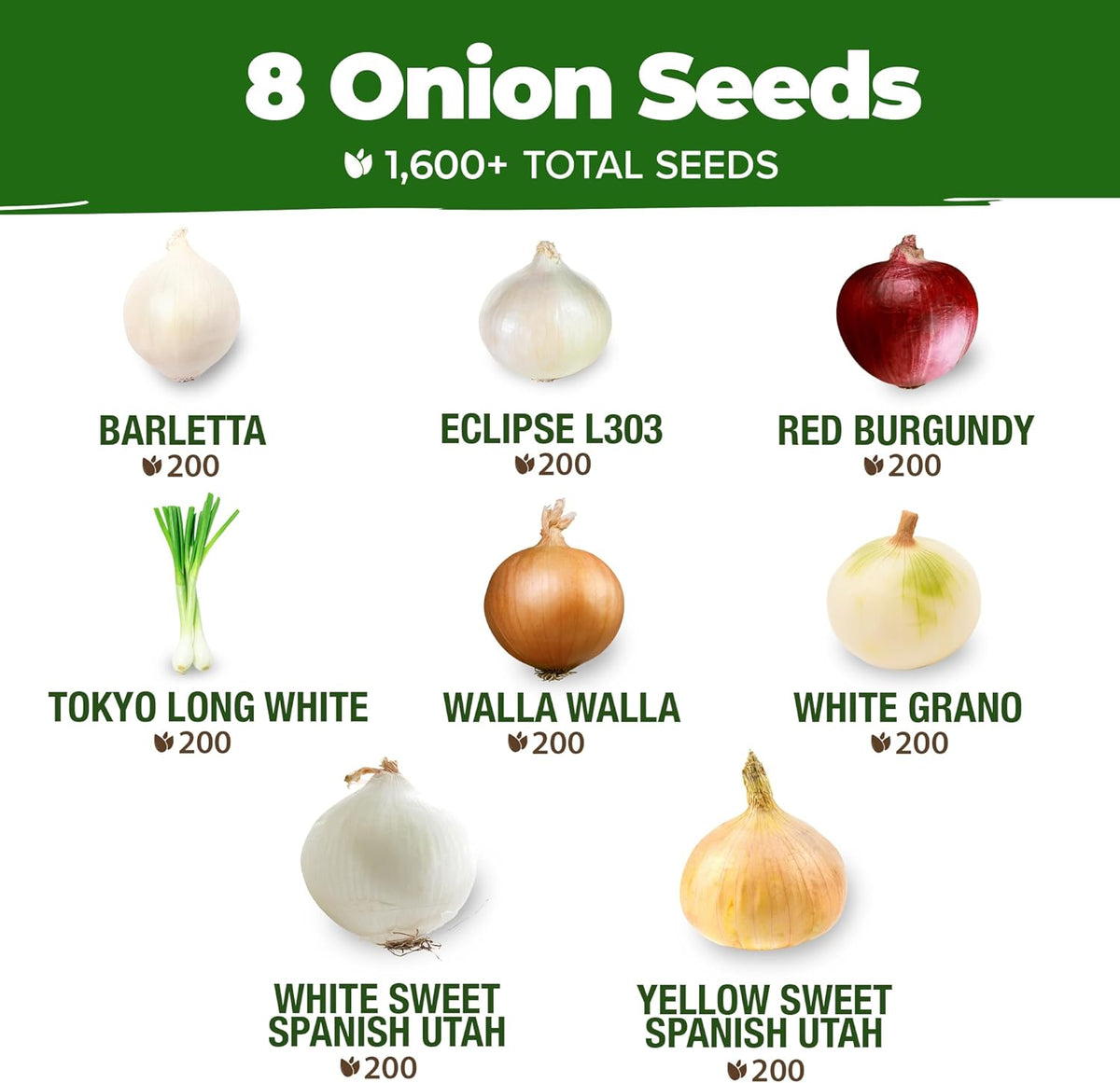 HOME GROWN 𝗨𝗦𝗔 𝗣𝗥𝗘𝗠𝗜𝗨𝗠 8 Onion Seeds for Planting – 1,600 Heirloom 𝗡𝗢𝗡-𝗚𝗠𝗢 Vegetable Seeds – Grow Sweet, Yellow, Red, Spanish, Green & Vidalia Onions in Outdoor or Indoor Home Garden