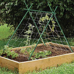 Garden Stakes 5-Ft for Climbing Plants Supports Pole 20 Pack EcoStake Rust-Free Plant Sticks Fence Post 60inch