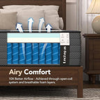 Full Mattress 10 Inch,Lechepus 5-Zone Medium Firm Mattress with Lumbar & Shoulder Support, Hybrid for Pressure Relief,Edge Support & Motion Isolation, Fiberglass Free & CertiPUR-US