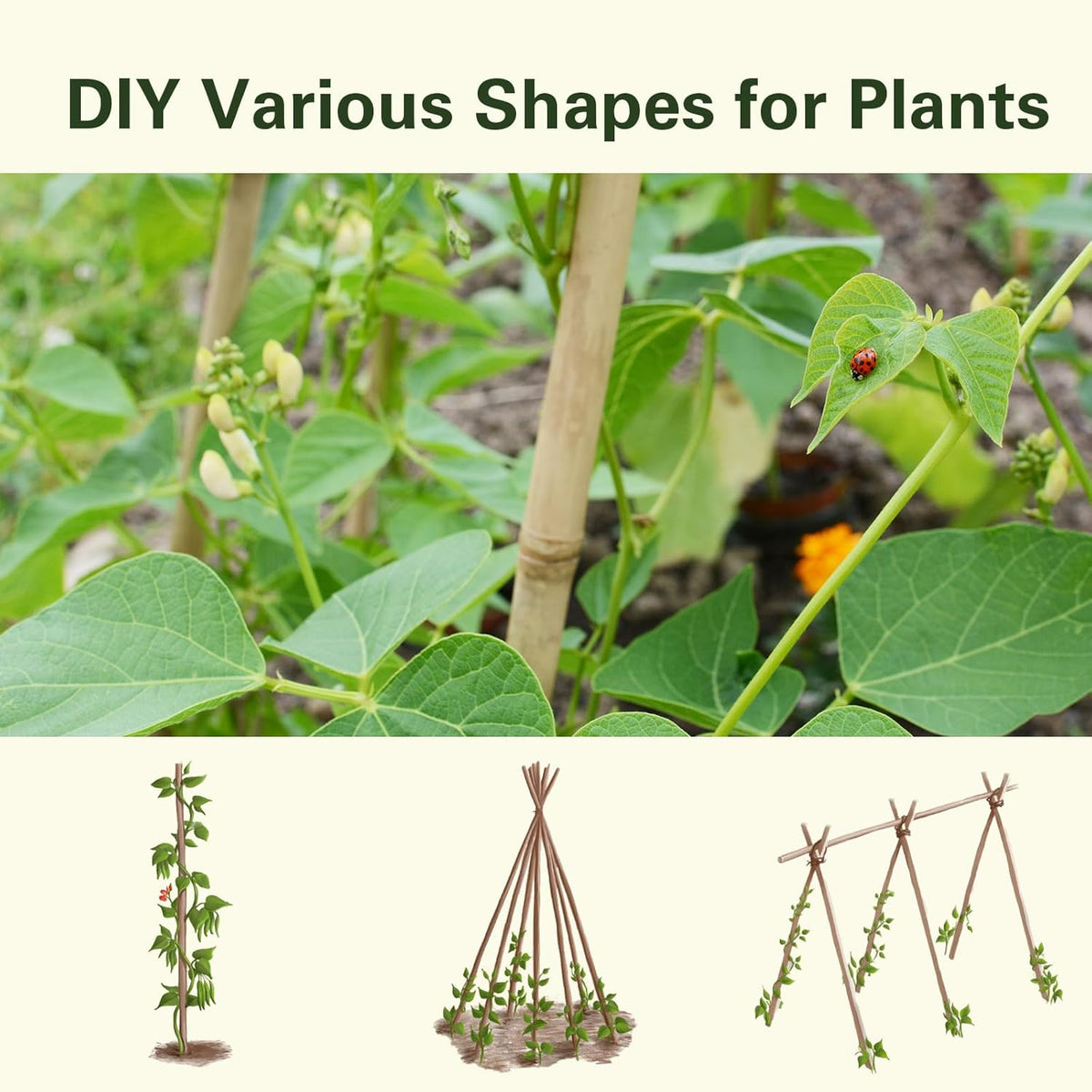 Bamboo Stakes 3 FT 30pcs, 36 inch Garden Stakes Multi-Purpose, Bamboo Plant Support Stakes for Tomatoes, Beans, Peppers, Flowers, Potted, Maintain The Plant Posture, Strengthen and Stem