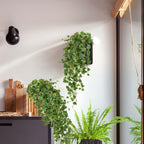 Hollyone 2pcs Artificial Hanging Plants 35.4" Fake Ivy Vine Faux Ivy Leaves Fire and UV Resistant Hanging Plant Wall Greenery for House Room Patio Indoor Outdoor Home Shelf Office Wedding Decor