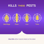 Hot Shot Bedbug & Flea Fogger For Insects, Aerosol, 3/2-Ounce, Pack of 6, Multolor