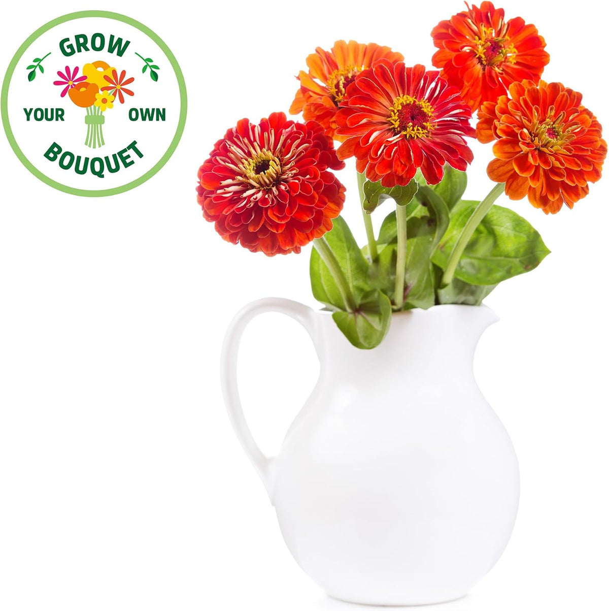 Back to the Roots Organic Zinnia Flower Grow Kit with Plantable Starting Pot Soil and Seeds