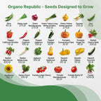 55 Vegetable Seeds Variety Pack - 35,600+ Non-GMO Heirloom Seeds for Planting Vegetables and Fruits in Individual Seed Packets, Home Garden Seeds for Hydroponic, Indoor and Outdoors Gardening