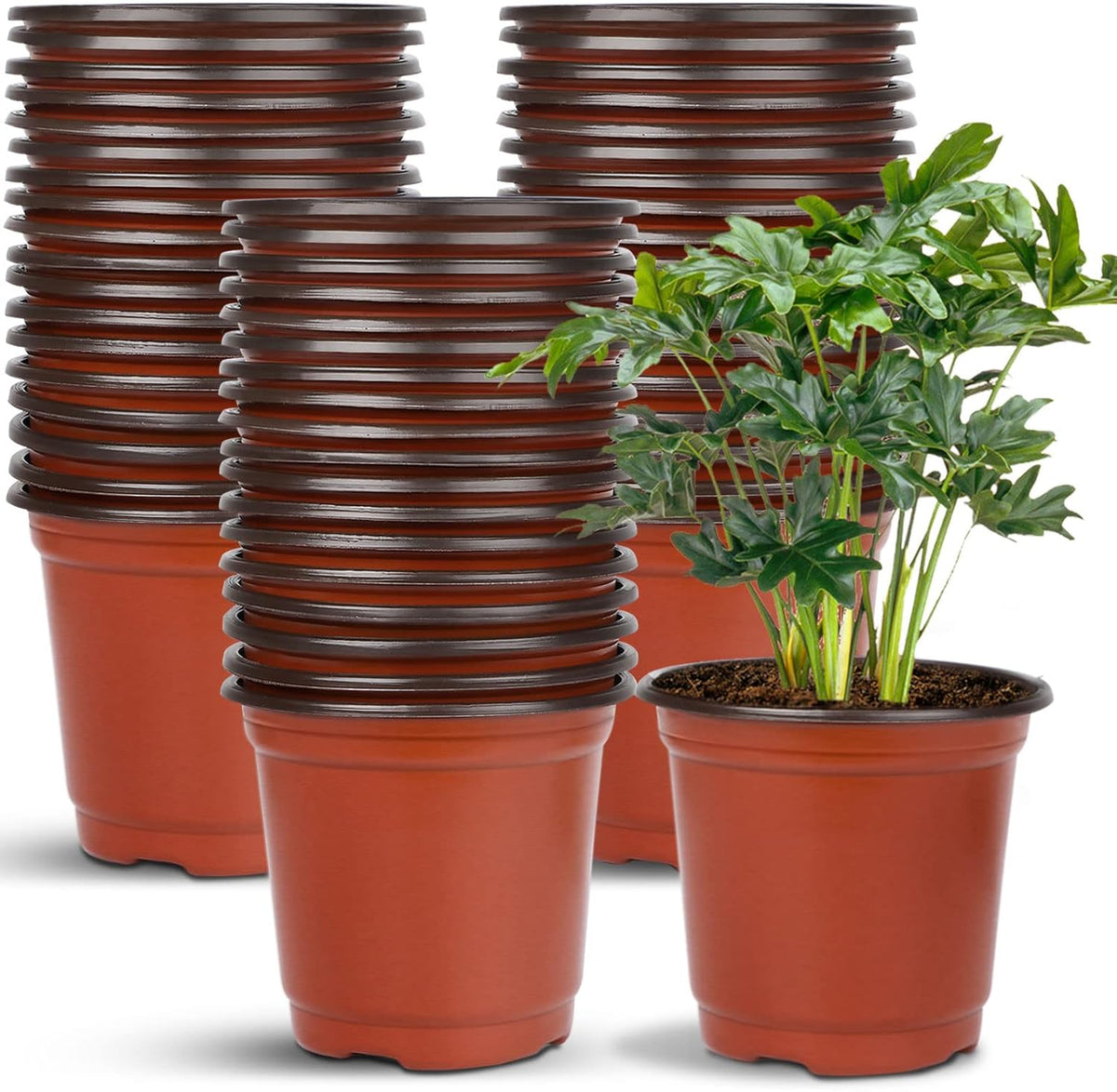 Augshy 40 Pcs 6" Plastic Plant Nursery Seed Starting Pots for Indoor Outdoor Succulent Seedling Cutting Transplanting