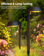 Solar Lights Outdoor Waterproof, LED Solar Pathway Lights Outdoor Garden Landscape Lighting for Walkway Driveway, Auto On/Off, 6 Pack