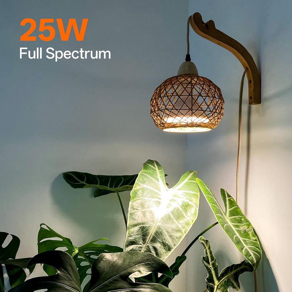 Bstrip Hanging Grow Lights for Indoor Plants, 18W Full Spectrum, Boho Rattan Lantern Shade, 3800K Wall-Mounted Decorative Plant Light with 9.8FT Power Cord, Ideal for Tall Plants, Flowers