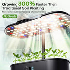 Ahopegarden Hydroponics Growing System Kit: 12 Pods Temp & Humidity Monitor