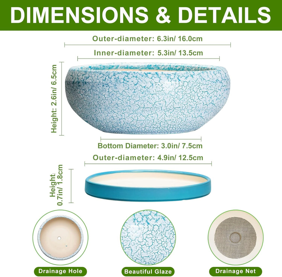 Bonsai Pots Small - 6 Inch Succulent Pots with Drainage Hole and Saucer, Succulent Planters for Indoor Outdoor, Shallow Plant Pot, Round Bonsai Planter, Office Decor, Plant Lover Gifts, Blue