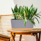 QCQHDU 16" L x 7.6" W x 7" H Window Planter Box, 2 Pack Self Watering Pots for Indoor Plants with Drainage Holes & Saucer, Outdoor Flower Pots Home Garden Modern Decor