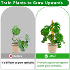 Moss Pole, 2 Pack 17 Inch Monstera Plant Support for Climbing Plants Accessories Indoor, Stackable Moss Poles Plant Support Stakes, Coir Plant Pole Sticks for Potted Plants, Pothos, Philodendron