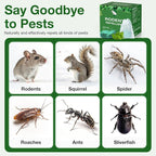 Mouse Rodent Repellent, 12 Pack Peppermint Oil Mouse Traps for Rat Mice, Ant, Roach, Spider, Squirrel, Nature Mouse Deterrent for Indoor Outdoor Use, for Garden & Home, Family & Pet Safe