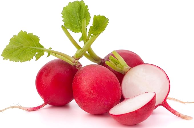 500 Cherry Belle Radish Seeds | USA Grown, Non-GMO, Heirloom | Fast-Growing, Sweet & Crisp | Harvest in 25 Days | Spring Vegetable for Gardeners of All Levels
