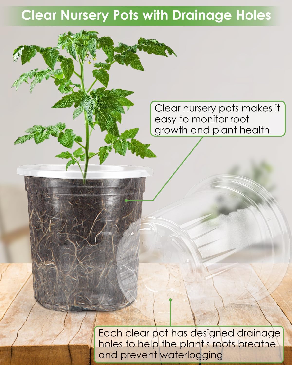 PACETAP 60Pack 3.5 Inch Reinforced Clear Nursery Pots with Drainage Holes, Variety Pack Plastic Plant Pots with 20 Plant Labels for Indoor Outdoor Flower Seed Starter