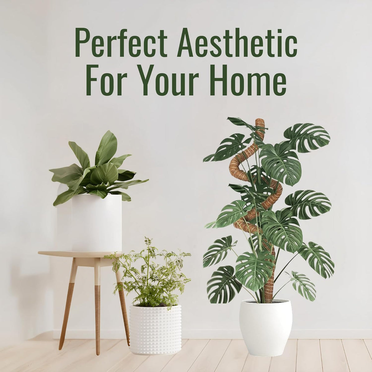 2 Pack 30 Inch Moss Pole for Plants, Moss Poles for Climbing Plants Monstera, Handmade Coco Coir Plant Pole, Monstera Plant Support for Plant Grow