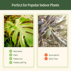 15 Inch Self-Watering Planter for Indoor Plants – Large Modern Plant Pot with Built-In Water Reservoir, Ideal for Monstera, Fiddle Leaf Fig, Palms & Peace Lily, Without Trellis (1, Sage Green)