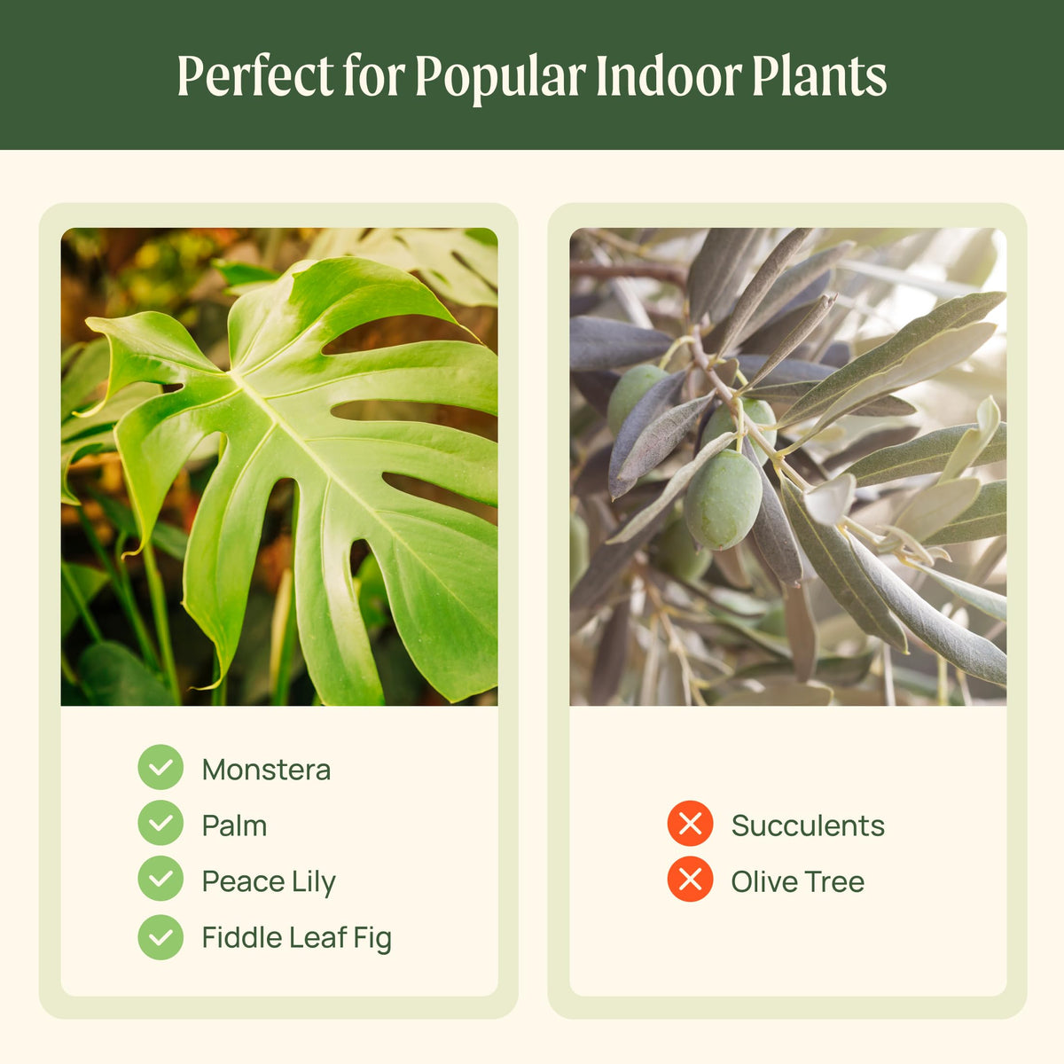 15 Inch Self-Watering Planter for Indoor Plants – Large Modern Plant Pot with Built-In Water Reservoir, Ideal for Monstera, Fiddle Leaf Fig, Palms & Peace Lily, Without Trellis (1, Sage Green)