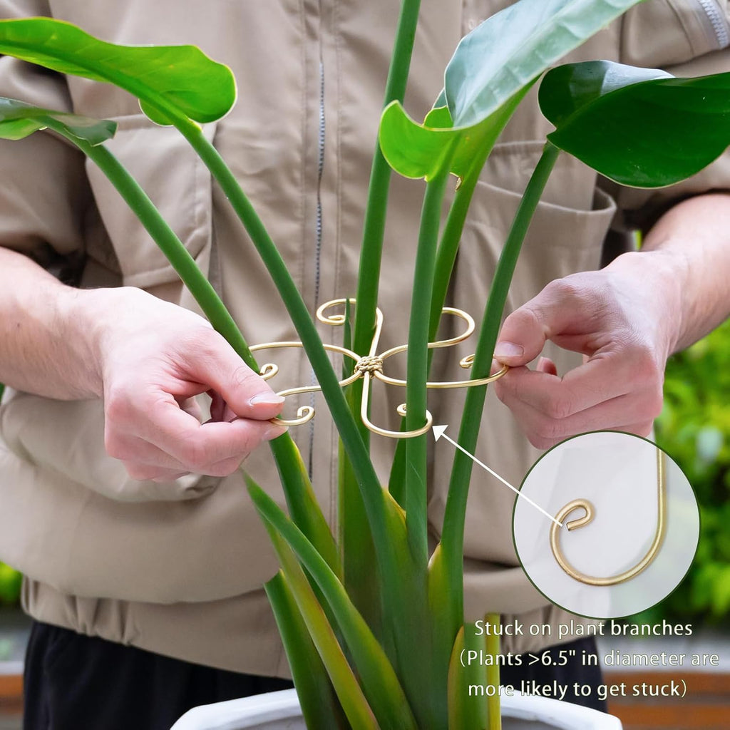 6.5IN Monstera Plant Support Hook 5PCS Durable Stem Stabilizer for Indoor Plants | Easy Setup 5-Piece Set Ideal for Turtle Shell Leaf Support Ideal Present for Plant Lovers & Home Garden Décor
