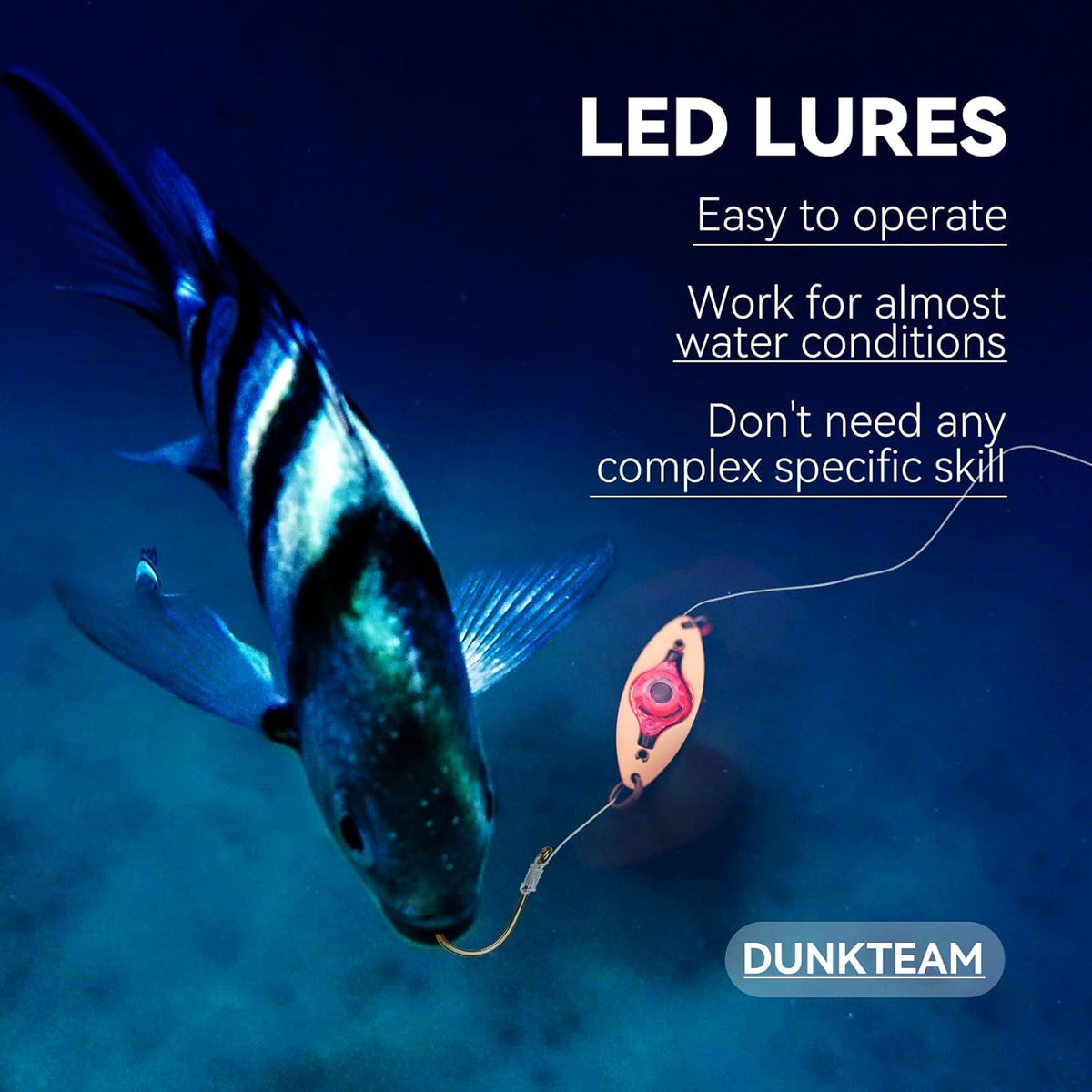 LED Underwater Fishing Lures，LED Lighted Bait Flasher，Deep Drop Fishing Lures，Fish Eye Attractive Light Bait Lure Lamp 5PCS