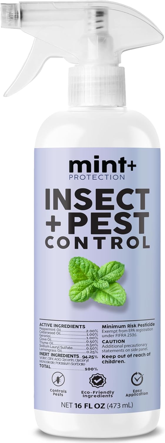 Mint+ Insect and Pest Control Spray, Residue-Free Bug Killer for Indoor & Outdoor Use, 16 oz (475mL)
