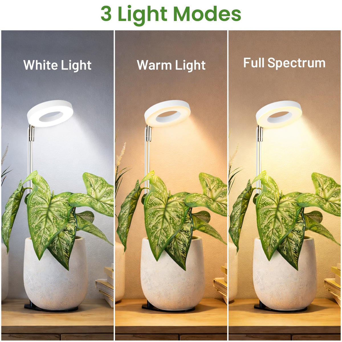 LBW Grow Lights for Indoor Plants, Full Spectrum Halo Grow Light with Base