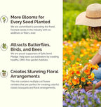 Eden Brothers North Dakota Wildflower Mixed Seeds for Planting, 1 lb, 480,000+ Seeds with Calendula, Sunflower | Attracts Pollinators, Plant in Spring or Fall, Zones