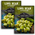 Lima Bean Seeds for Planting – Henderson Butter Bean Seeds for Gardens & Classroom Science Projects, Easy to Grow Non-GMO Heirloom Variety - Survival Garden Seeds (2 Packs)