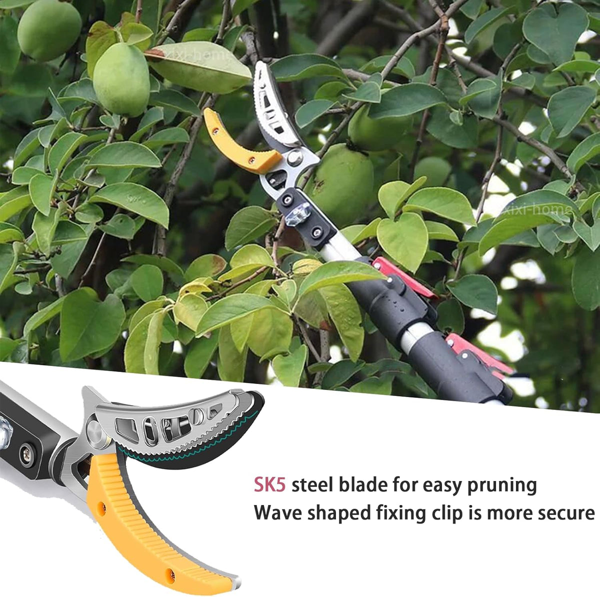 xixi-home Cut and Hold Pruners 4.6-9.8 Ft Long Reach Pole Saw Pruning Shears and Hold Bypass Pruner Extendable Tree Trimmer with Dedicated Serrations Telescoping Fruit Picker