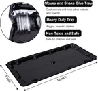 10 Pack Sticky Mouse Trap Rat Traps Indoor, Peanut Taste Pheromone Mouse Traps Indoor for Home