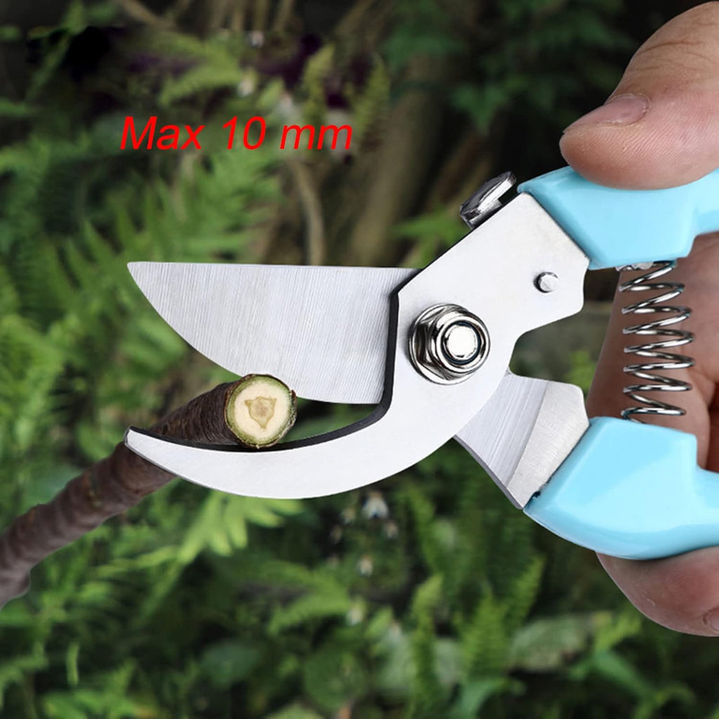 Curve Gardening Scissor with Sharp Stainless Steel Blade Garden Shears for Cutting Flowers Trimming Plants of Yard Florist Flower Rose Herb Hedge Bonsai and Fruits Picking