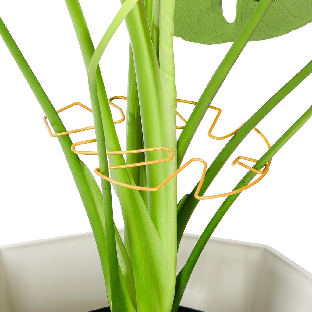 6PCS Iron Monstera Plant Support, Uniquely Designed Indoor Plant Accessories, Stable Plant Support Stakes for Indoor Plant, Turtle Shell Bamboo Clamp Set for Thriving Growth