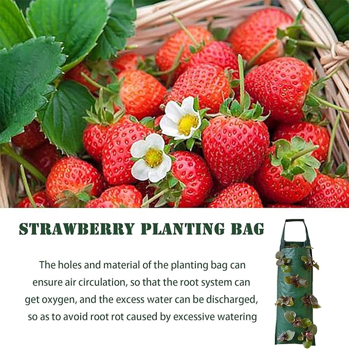 2024 Hanging Strawberry Planter, Upside-Down Patio Garden Tomato Planter Bags, Hanging Strawberry Plant Grow Bags,Hanging Grow Bags Flower Planting Bag Handle Grow Pouch Planter for Outdoor (1)