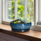 Bonsai Pots 8 Inch - Ceramic Succulent Planter for Indoor Outdoor, Round Bonsai Planter with Drainage Hole and Saucer, Shallow Ceramic Planters Bowl, Patio Decor, Housewarming Gift, Blue