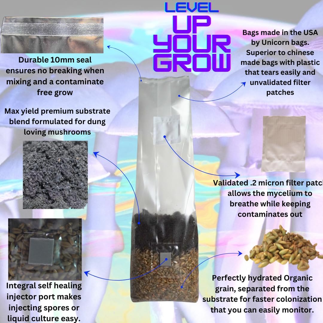 Mushroom Grow Kit - Magic All in One Mushroom Grow Bags (Pack of 2)