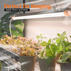 Bstrip Indoor Greenhouse with Grow Light, Mini Green House with 5 Pack T8 Full Spectrum Plant Lights, Plant Shelf with Tent for Indoor Plant, Seed Starting, Seed Tray, 35.4"x13.8"x71"