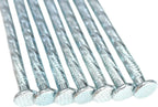 6-Inch Landscape Stakes Spiral Galvanized Landscape Spikes for Weed Barrier, Carpentry, Tent (100)