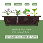 TOREVSIOR 5-Tier Vertical Raised Garden Bed, Elevated Herb Planter Box
