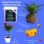 Mycorrhiza for Soil, Root Stimulator for Plants, Ultra Concentrated Mycorrhizae for Plants Strong Roots & Living Soil, Trifecta Myco Supreme Plant Root Stimulator for Tree, Rose and Flower Care