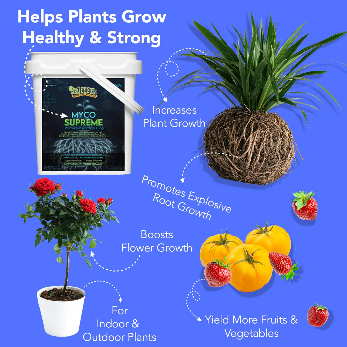 Mycorrhiza for Soil, Root Stimulator for Plants, Ultra Concentrated Mycorrhizae for Plants Strong Roots & Living Soil, Trifecta Myco Supreme Plant Root Stimulator for Tree, Rose and Flower Care