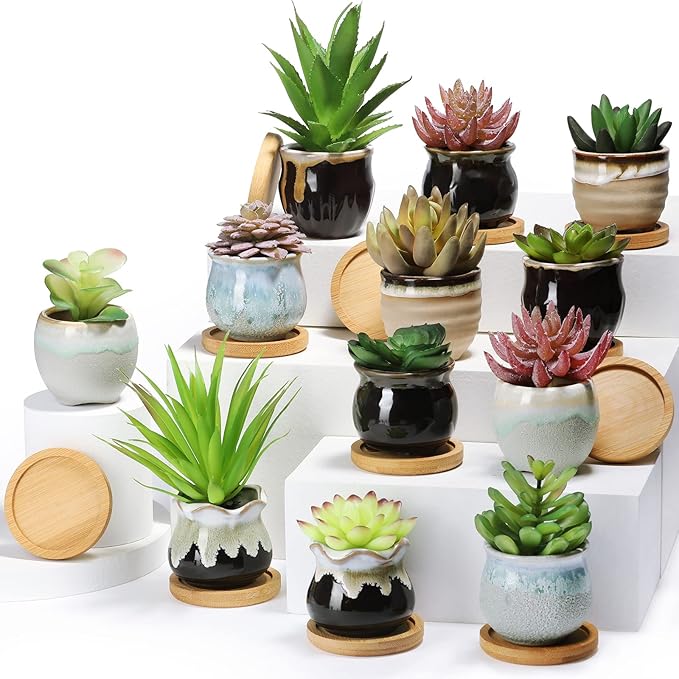 Remerry 24 Pcs Small Succulent Pots Bulk with Drainage Assorted 2.5 Inch Mini Ceramic Succulent Planters Pot with Coaster Bamboo Plant Tray Planting Pots for Home Office Garden (Rich Color)