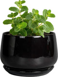 G EPGardening Small Ceramic Planter - 4 Inch Succulent Pots with Drainage Hole & Sacuer, Flower Pots for Indoor Outdoor Plants, Modern Decorative Round Planter, Room Decor, House Warming Gifts, Black